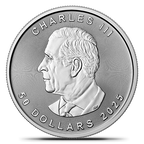 1 oz Platinum Coin (2026 or Random Year)