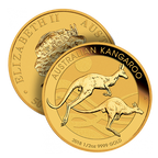 1 oz Australian Kangaroo Gold Coin - Perth Mint (2026 or Random Year)